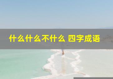 什么什么不什么 四字成语